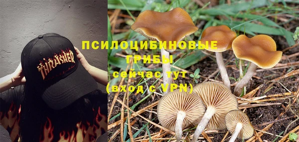 MDMA Лагань