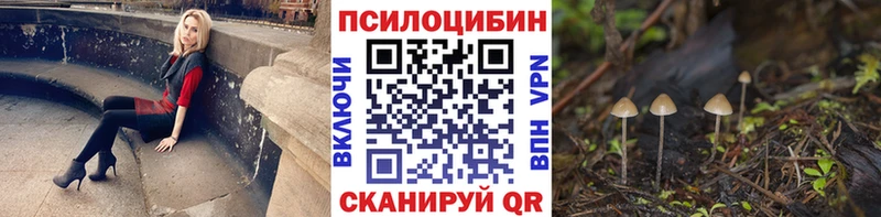 Купить закладки  Трубчевск  Галлюциногенные грибы GOLDEN TEACHER 