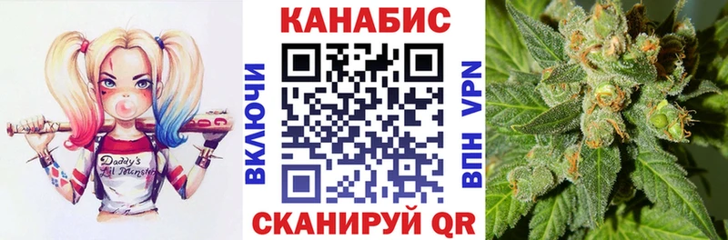 Купить где  Трубчевск  Каннабис VHQ 